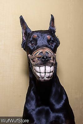 bloody teeth dog muzzle