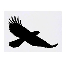 'Hawk' Temporary Tattoos / Transfers TO00019603 