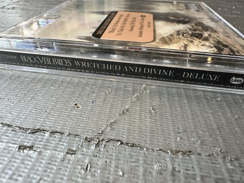 Black Veil Brides Wretched And Divine Deluxe Edition CD & DVD EXCELLENT ALL - Imagen 3 de 5