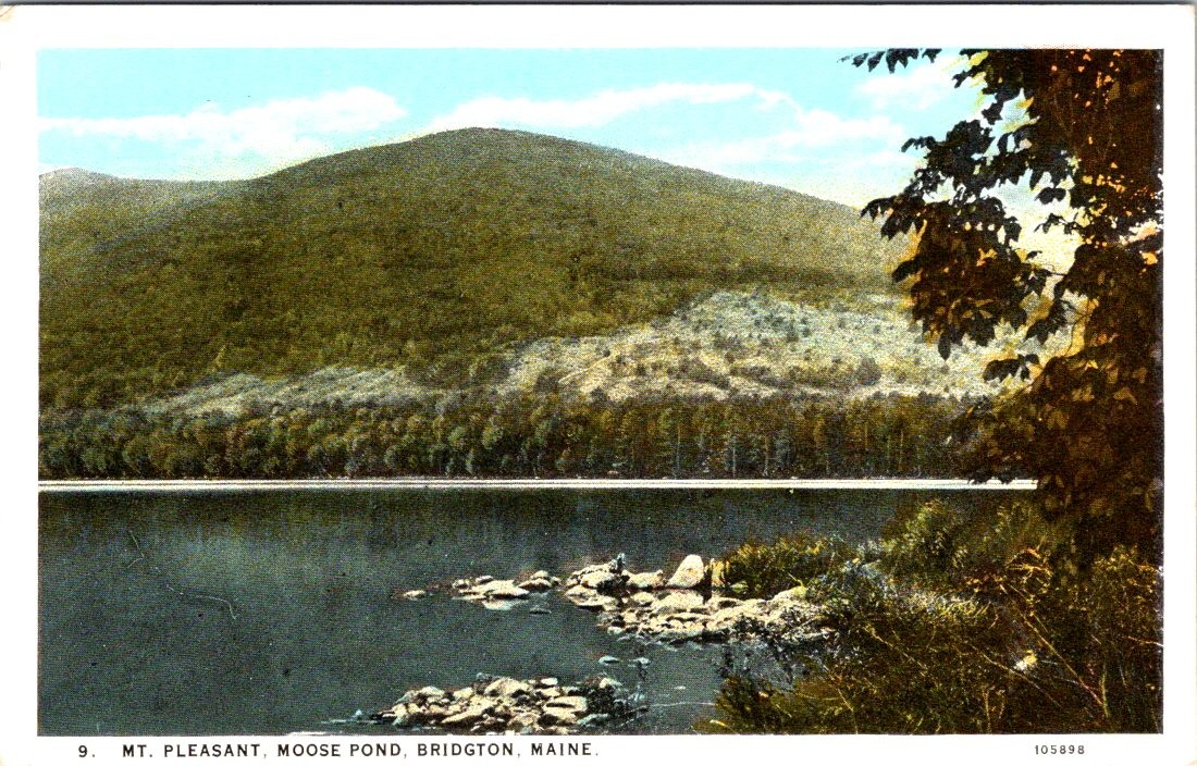 Mt. Pleasant, Moose Pond, BRIDGTON, Maine Postcard - Curt Teich