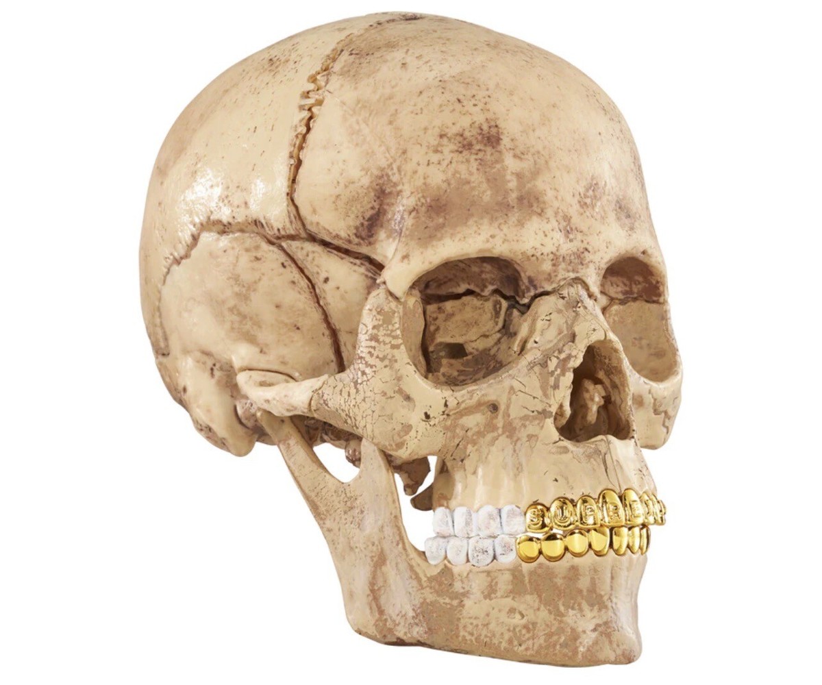 Supreme 4D Model Human Skull 完全未開封 Supreme 4D Model Puzzle Human Skull With Gold Grills FW23 NEW In
