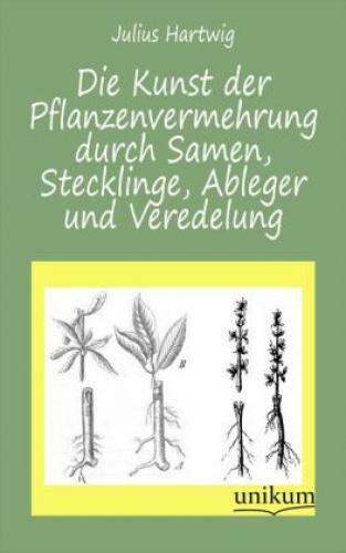 Die Kunst Der Pflanzenvermehrung Durch Samen, Stecklinge, Ableger Und