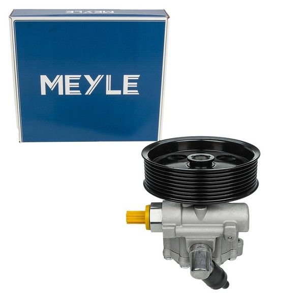 Meyle Hydraulikpumpe Lenkung FüR MERCEDES-BENZ X164 W164 W251 V251 W221 OM642-image