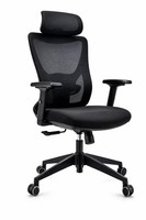 Ergonomischer BüRostuhl Mit NetzrüCken, KopfstüTze Und Armlehnen