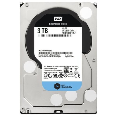 Western Digital WD3000F9YZ 3 TB 3.5'' Internal Hard Drive