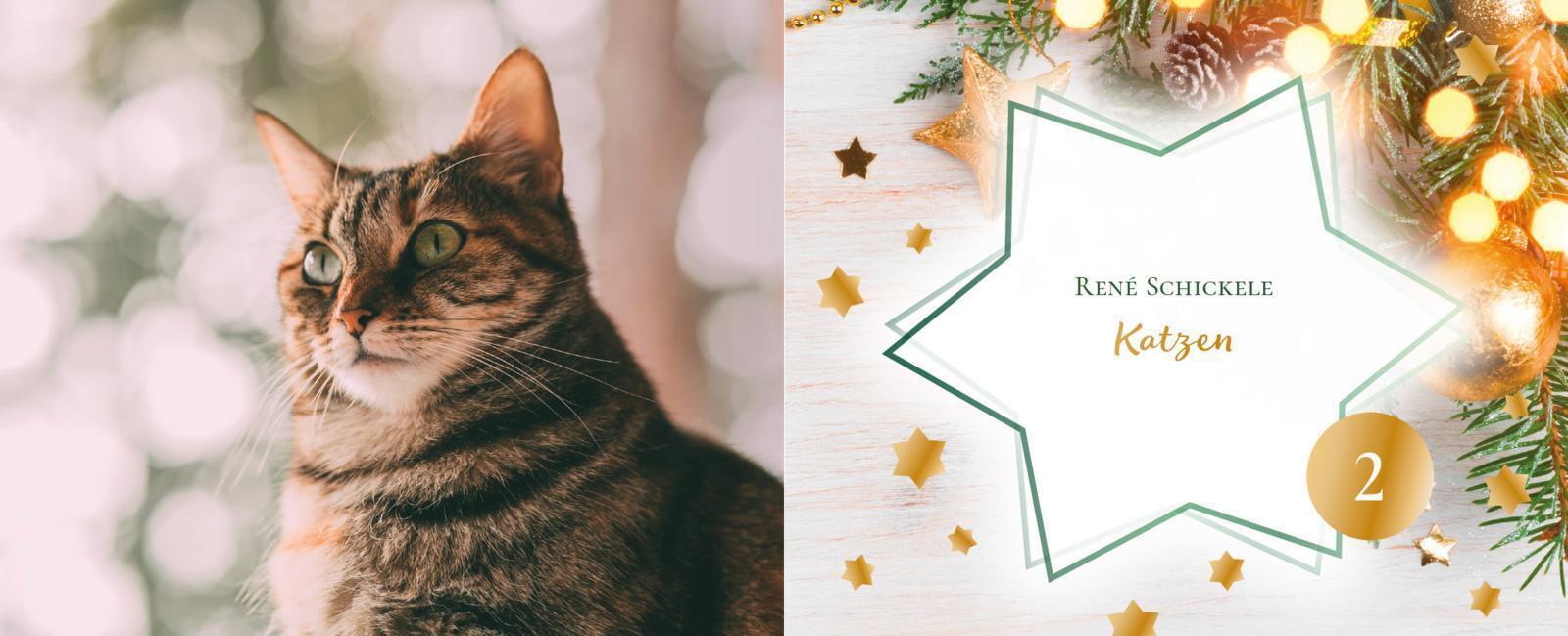 Thumbnail - 24 Katzengeschichten | Buch | Deutsch (2020) | Ein Adventsbuch Zum