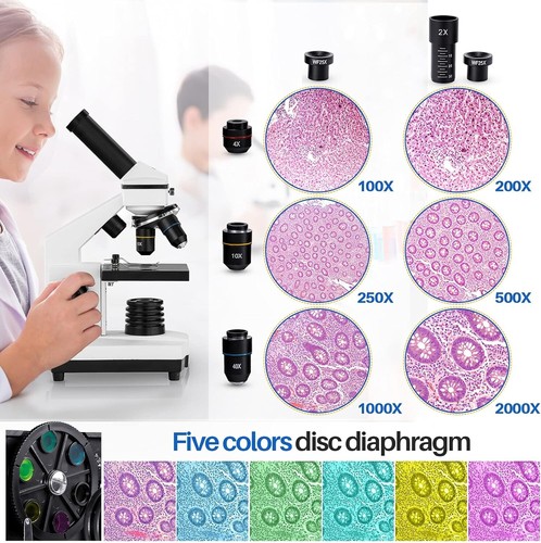 Dual LED Biological Microscope with 15 Slides & Carrying Case - Ideal for Kids - Picture 4 of 9