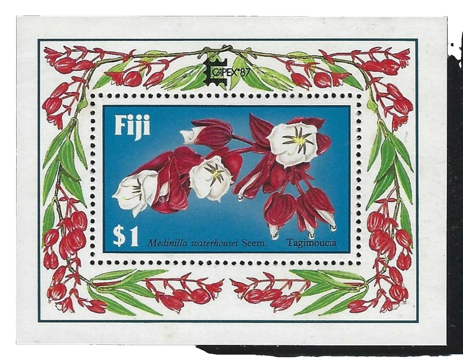 En excelente estado nunca abisagrado/estampillada sin montar o nunca montada Flores Estampillas de Fiji (1967-presente)