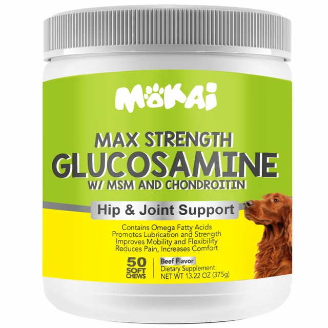 glucosamine and msm for dogs