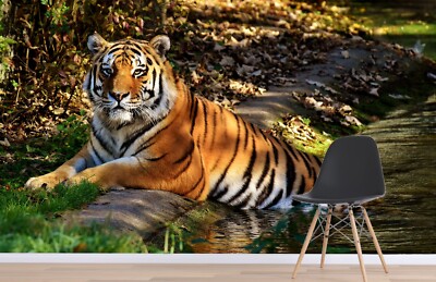 3D Creek Tiger Animal ZHUA1079 Wallpaper Wall Murals Removable Self-adhesive Ann