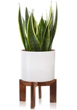 Wood Plant Stand Mid Century Modern Planter Rattan Flower Pot Short Stands