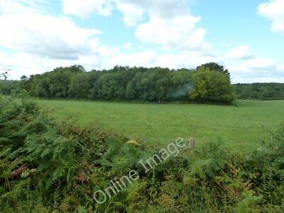 Photo 12x8 Wildboar Wood near Freshfield Crossways Furner's Green The smok c2011