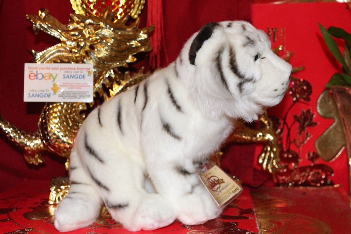5*4様 【手渡し限定】PYZEL WHITE TIGER 5’4 ★超美品★ 5*4様 【手渡し限定】PYZEL WHITE TIGER 5'4 ☆超美品☆