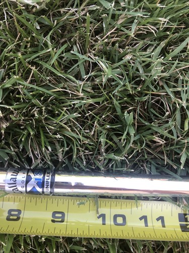 Callaway X-18 Single Sand Wedge iron with Graphite Light Flex - Club 3 - (READ) - Picture 6 of 10