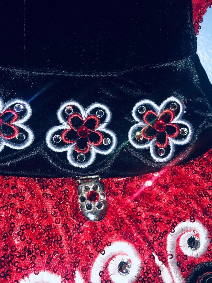 Ирландский танцевальный сольный костюм Siopa Rince - Изображение 2 из 4