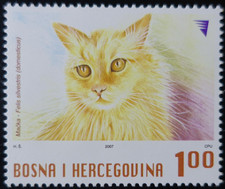 TIMBRE de BOSNIE-HERZÉGOVINE - ANIMAUX - CHAT N°556 NEUF ** LUXE MNH