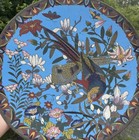 Foto 3 di 13