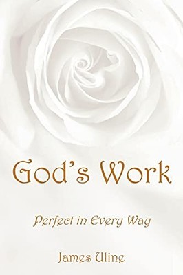 God's Work : Perfect in Every Way by James Uline (2021, Trade Paperback)