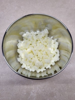 Milchpilz, Milchkefir, Kefirknollen, Tibetanischer Pilz, Kefir - 3 Euro/6 Gramm
