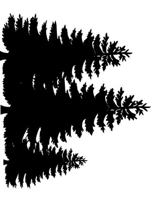 Spruce Versatile Quality Creative Stencil Template Reusable for Wall Decor, DIY