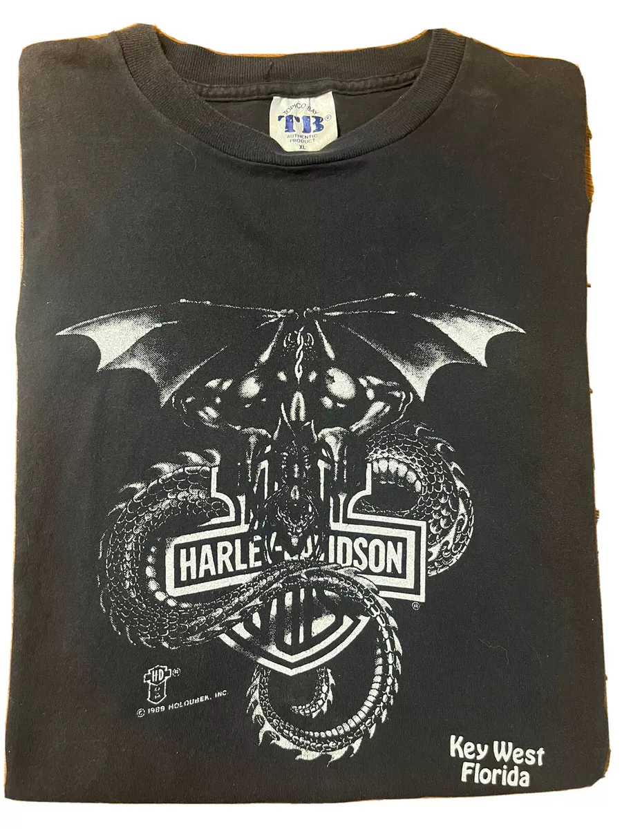 holoubek harley davidson