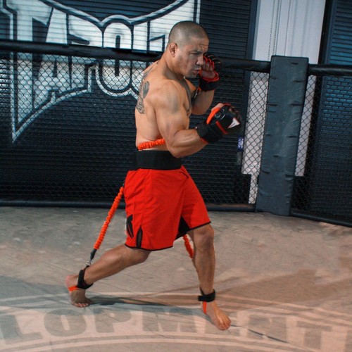 Striker - Picture 4 of 6