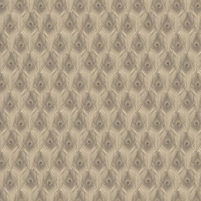 Galerie Bio Texturen Pfauenfedern Beige Tapete Feature Wand Natur
