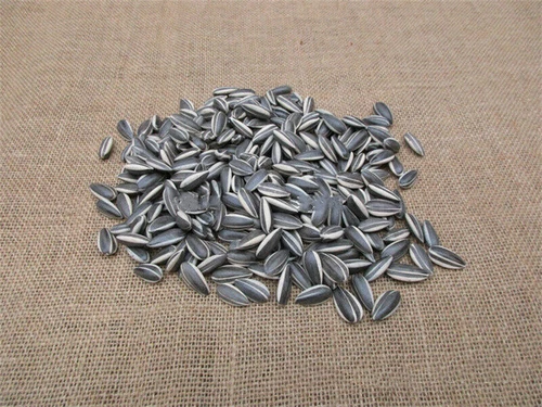 US! 100/200pcs Art Ai Weiwei Yixing Porcelain Sunflower Seeds Decoration Collect - Picture 6 of 14
