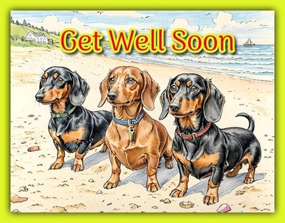 Get Well Soon Grußkarte A5 blanko innen mattiert Wurst Hunde Freund Neu