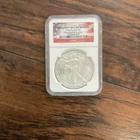 U.S. Mint 2013 American Eagle 1 oz Silver NGC Brilliant Uncirculated Coin