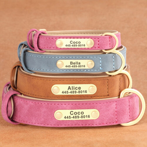 Personalized Dog Collar Leather Padded for Small Medium Large Dog Bulldog Yorkie - Picture 1 of 18