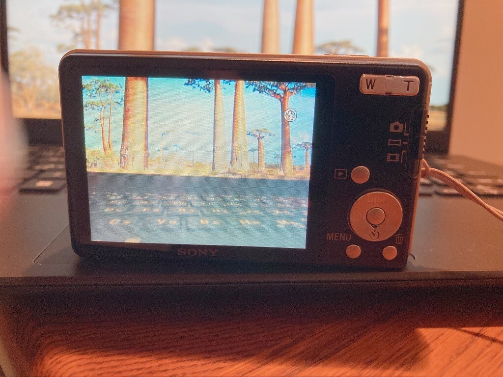 SONY Cyber-shot DSC-W350 ゴールド デジタルカメラ 419yn0PYBGL._UF350,350_QL80_.jpg