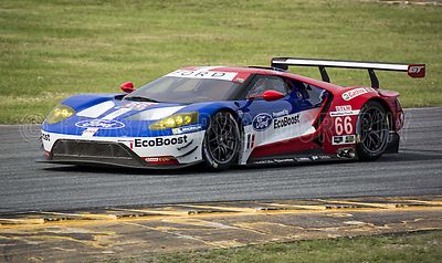 Ford GT GT40 GTLM class GT Le Mans at Rolex 24 Race Car Photo