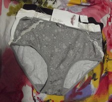 3 NEW JESSICA SIMPSON MICROFIBER LACE TRIM RETRO BRIEF PANTIES L