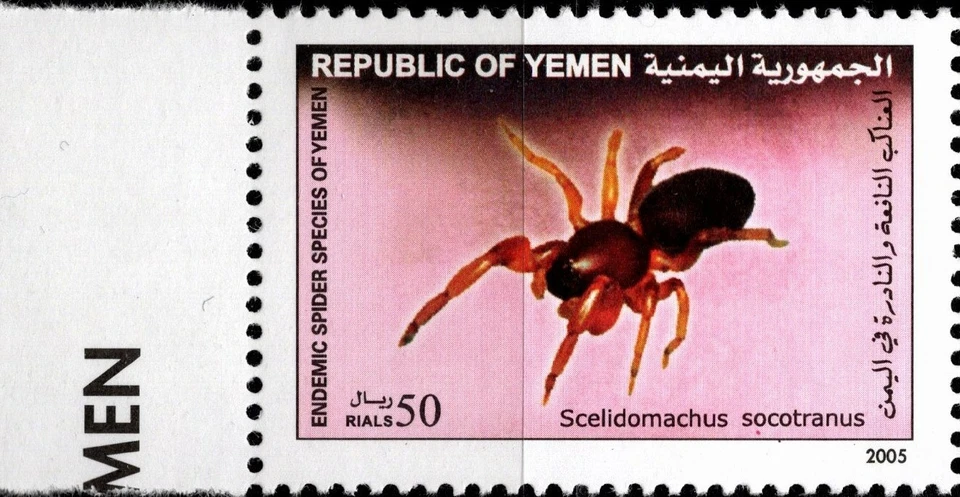 YEMEN 2005 ARAÑA ENDÉMICA ESPECIES DE YEMEN SEIS SELLOS Y HOJA DE RECUERDO MNH  Foto 3 de 4