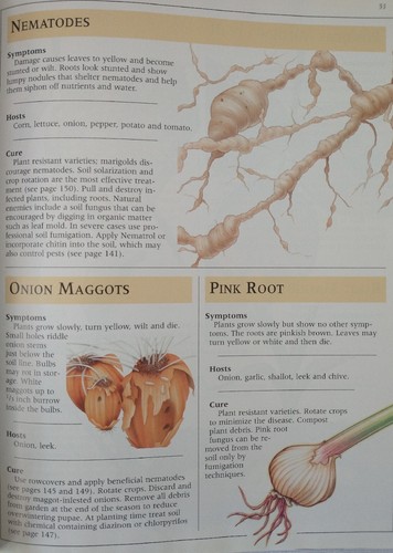 Solving Garden Problems: Vegetables by A. Cort Sinnes (1999, Hardcover) - Picture 4 of 6