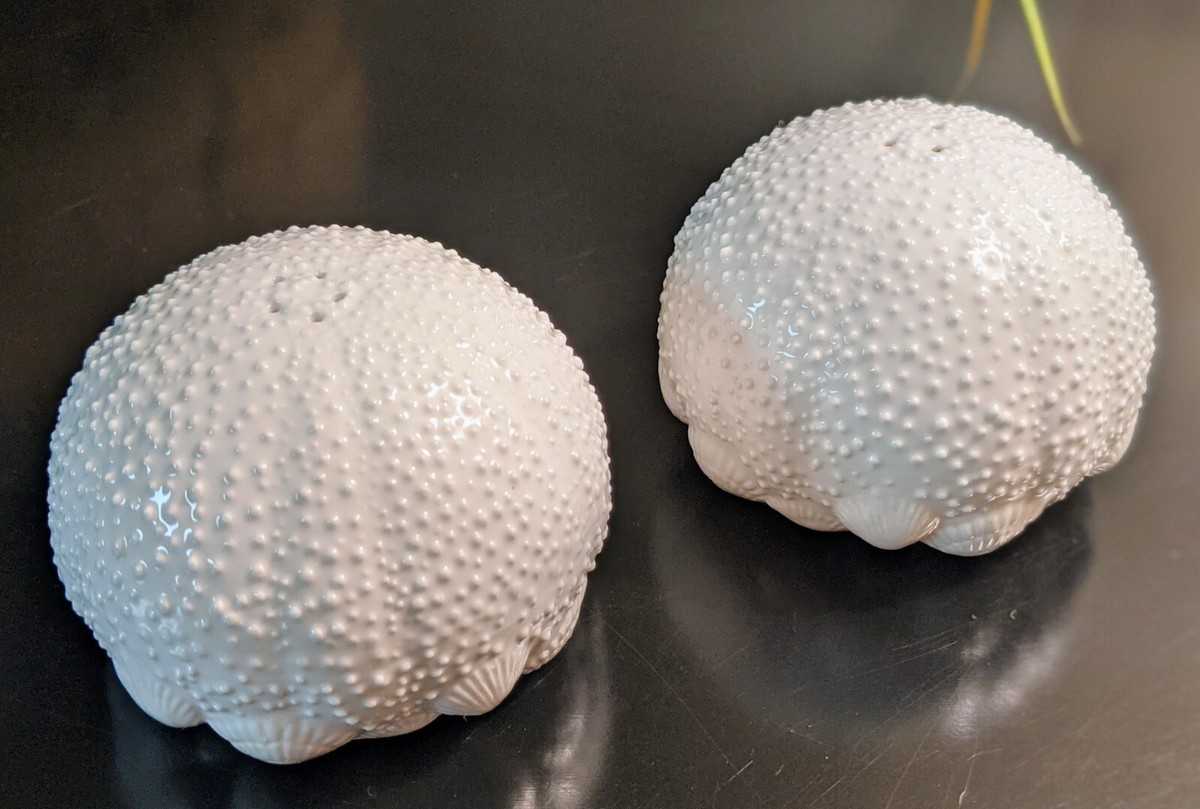 Tiffany & Co. Sea Urchin Bone China Salt And Pepper Shakers | eBay
