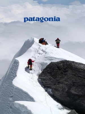Patagonia Advertisement Vintage Poster | eBay