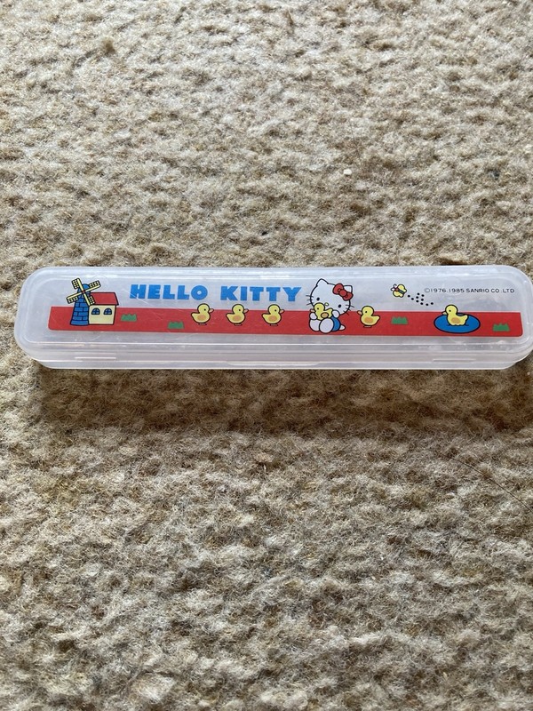 vintage Sanrio Hello Kitty plastic case