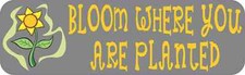 10x3 Bloom Where You Are Planted Bumper Sticker Vinyl Vehicle Window Stickers