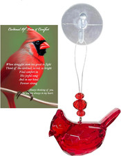 Cardinal Memorial Gift Cardinal of Love and Comfort Visitor from Heaven Sympathy