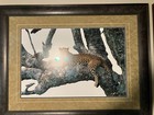 Tom  Mangelsen "SHADES OF SAPPHIRE" (20" x 30" Matted/Framed in 30" x 40")COA — photo 3