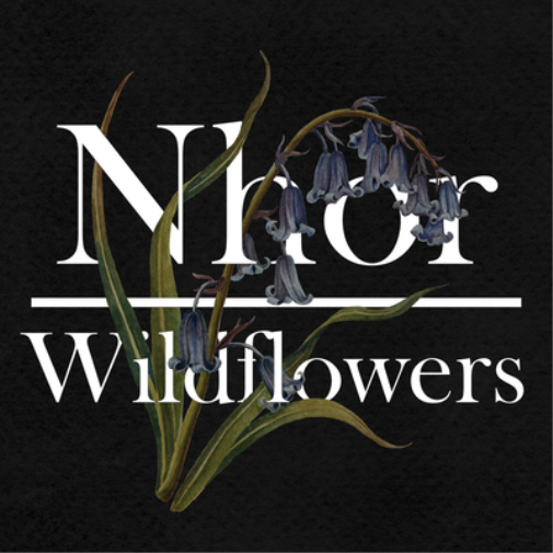 Nhor Wildflowers (Vinyl LP) 12" Album