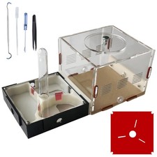 Ant Farm Nest Science DIY Terrarium Kit Care for Live Ants Ant Habitat with W...