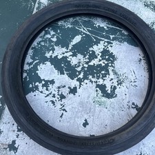 eBay Auction Picture