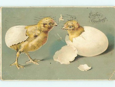 Divided-Back easter TWO CHICKS COMING OUR OF EGGS r3539