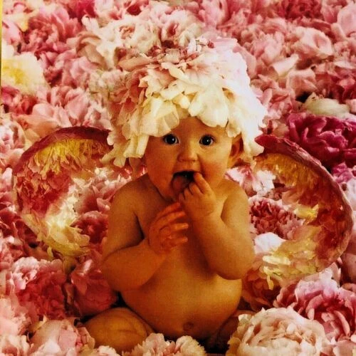 Sure-Lox Niños Rompecabezas Flores y Plantas