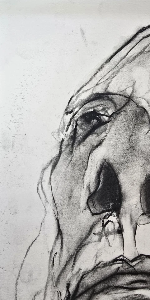 Arte original de carbón Valerie Davide 1938-2017 Foto 3 de 4