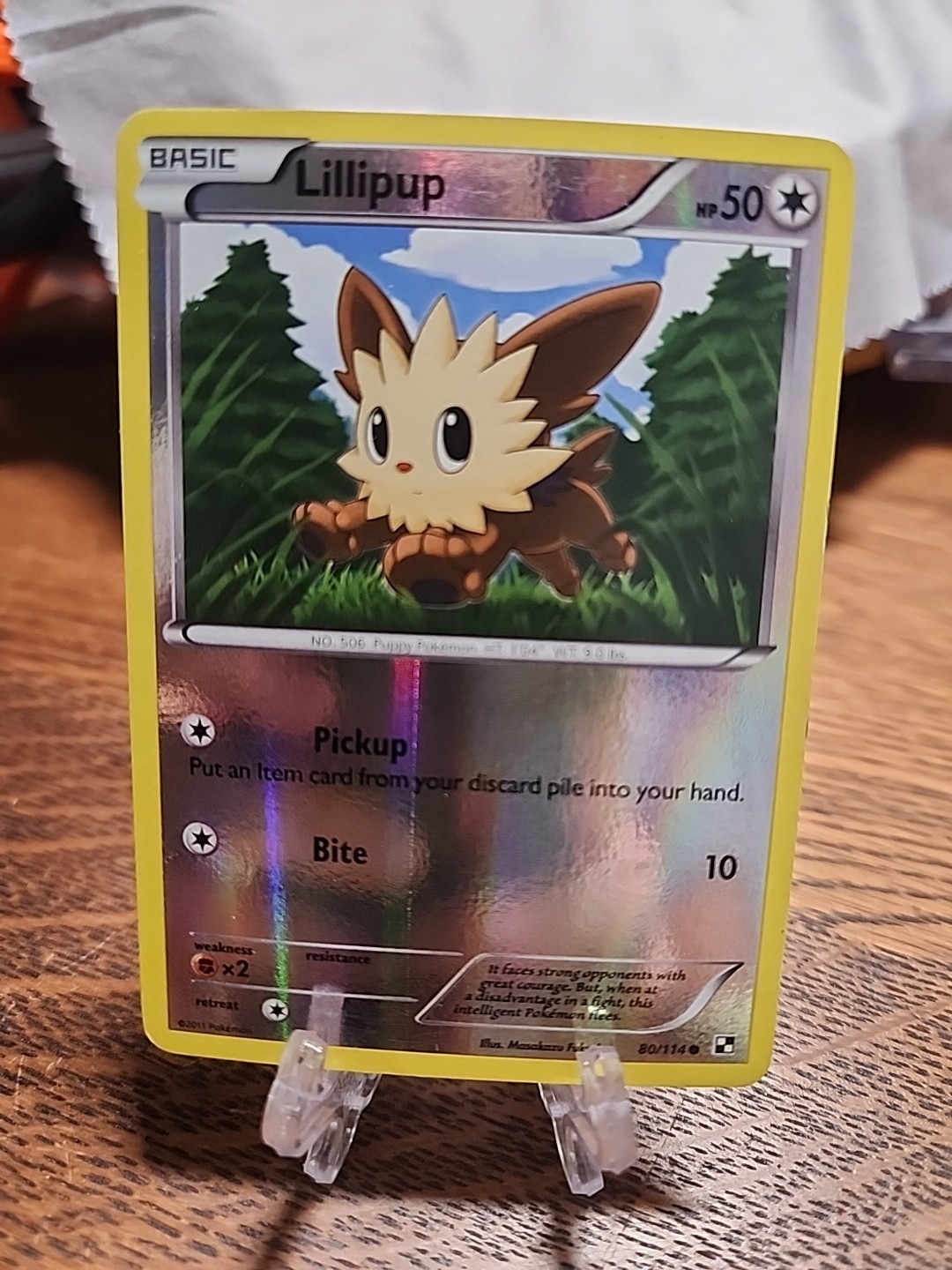 Lillipup 80/114 Black White Reverse Holo 2011 Pokémon TCG LP