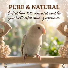 Bird Swing Bird Toys Parrot Toys Parakeet Toys Bird Cage Accessories for Budg...